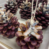 Scented Pinecones & Firelighters | Saturday 8th November - 2pm till 4.30pm