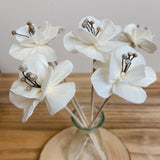 Natural Diffuser Flowers