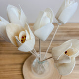 Natural Diffuser Flowers