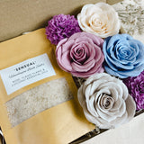 Rose Garden | Bathing Beauty Set