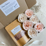 Fairytale | Bathing Beauty Set