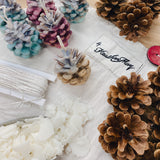 Scented Pinecones & Firelighters | Saturday 8th November - 2pm till 4.30pm