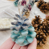 Scented Pinecones & Firelighters | Saturday 8th November - 2pm till 4.30pm
