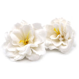 Delight | Beautiful Mind - Aromatherapy Gift Set