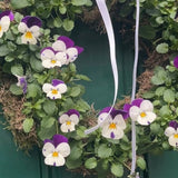 Pansy Wreath Workshop | Thursday 5th February - 6.30pm till 8.30pm
