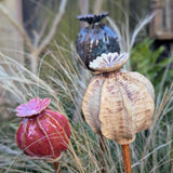 Pottery - Seed Heads | Friday 9th May - 1.30pm till 4.30pm