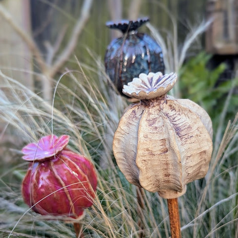 Pottery - Seed Heads | Friday 9th May - 1.30pm till 4.30pm