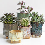 Pottery | Plant Pots | Saturday 14th March - 10am till 1pm
