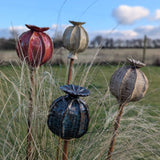 Pottery - Seed Heads | Friday 9th May - 1.30pm till 4.30pm