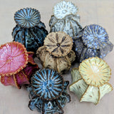 Pottery - Seed Head | Friday 19th June - 2pm till 5pm