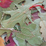 Wire Autumn Leaves | Thursday 25th September - 6pm till 9pm