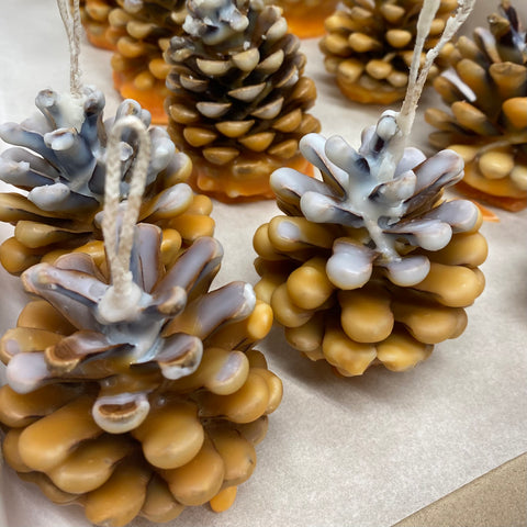 Scented Pinecones & Firelighters | Saturday 8th November - 2pm till 4.30pm