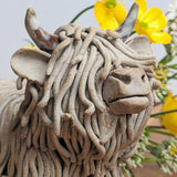 Pottery - Highland Cow | Friday 24th January - 2pm till 5pm