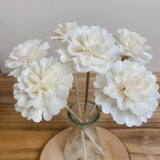 Natural Diffuser Flowers