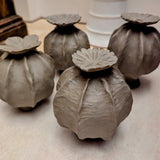 Pottery - Seed Heads | Friday 9th May - 1.30pm till 4.30pm