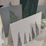Botanical Christmas Cards & Tags | Saturday 15th November - 2.30pm till 4.30pm