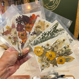 Wax Melt Brittle - Autumn in Bloom | Thursday 15th October - 6.30pm till 8.30pm