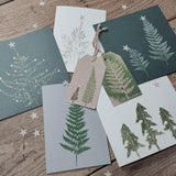 Botanical Christmas Cards & Tags | Saturday 15th November - 2.30pm till 4.30pm