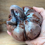 Pottery Pumpkins & Gourds | Saturday 5th September - 2.30pm till 5pm