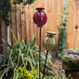 Pottery - Seed Head | Friday 19th June - 2pm till 5pm