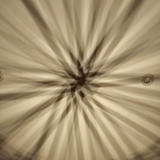 Willow Weaving - Lampshade | Saturday 27th June - 10am till 3pm