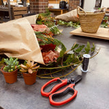 Fresh Autumn Wreath | Wednesday 7th October - 6:30pm till 8.30pm
