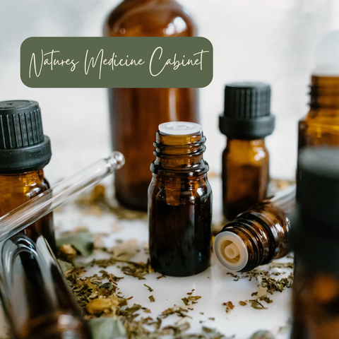 Natures Medicine Cabinet - Make & Take Workshop | Friday 19th September - 7pm till 9.30pm