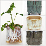 Pottery | Plant Pots | Saturday 14th March - 10am till 1pm