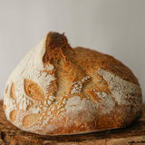 Knead & Weave - Willow Baskets | Saturday 27th September - 2pm till 5pm