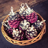Scented Pinecones - Firelighters | Hearth & Home