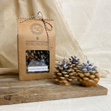 Scented Pine Cones - Frankincense & Myrrh